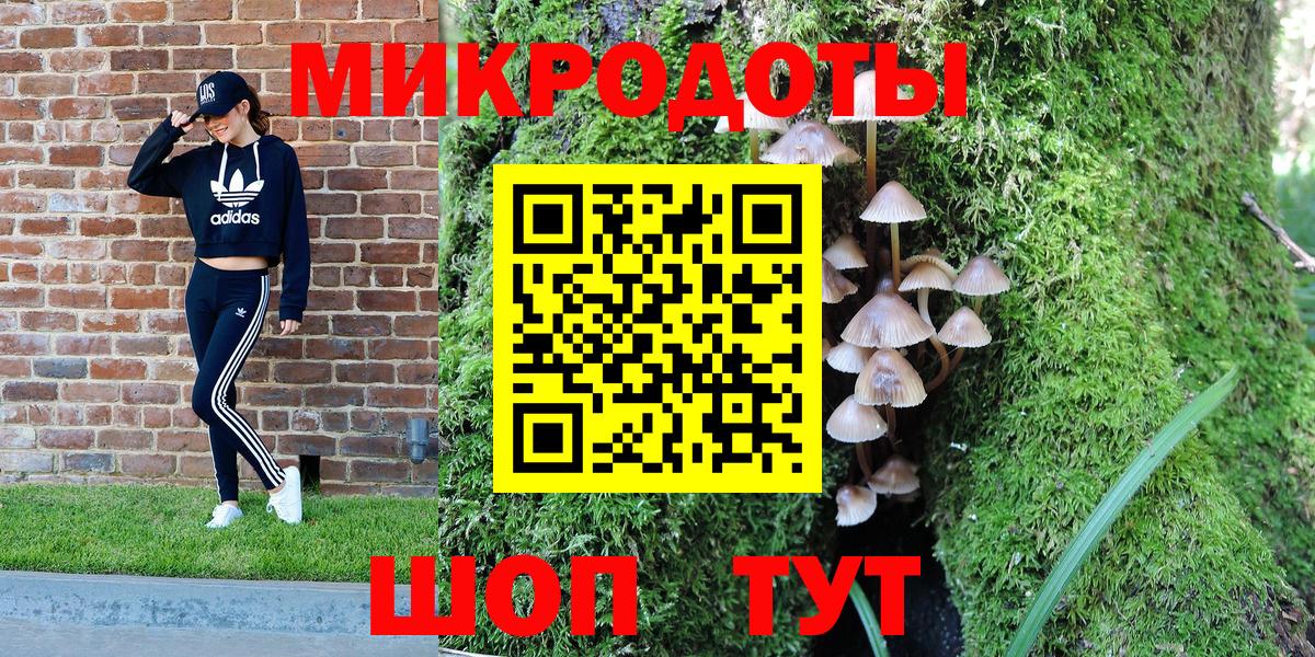 купить  цена  Вход с VPN  Жуковский  Галлюциногенные грибы мицелий 