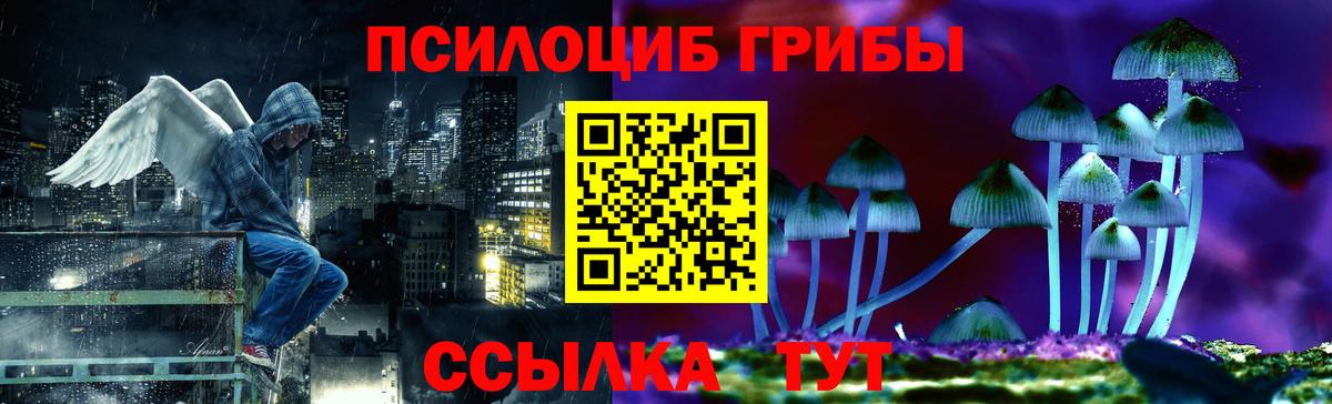 Галлюциногенные грибы Psilocybine cubensis Жуковский